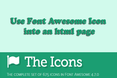 Font Awesome Icon