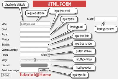 HTML 5 Forms : Date, Time, Number, Color