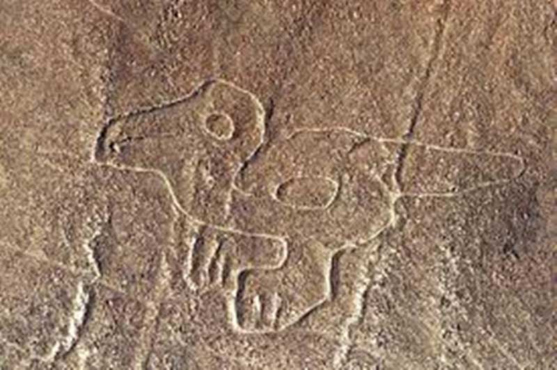 Dog, The Nazca lines