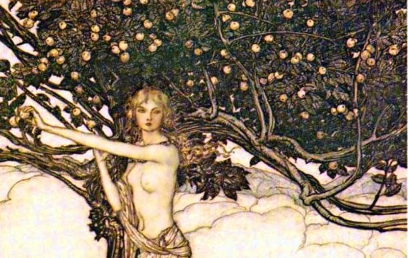 freya of scandinavia