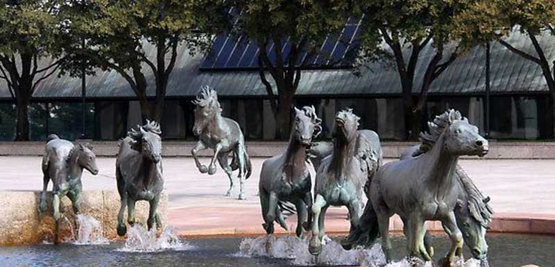 mustangs of las colinas texas