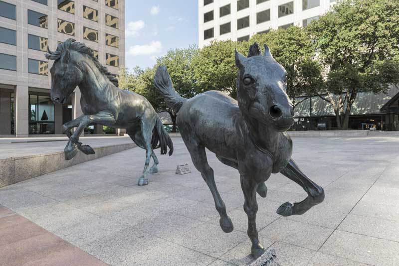 mustangs of las colinas texas