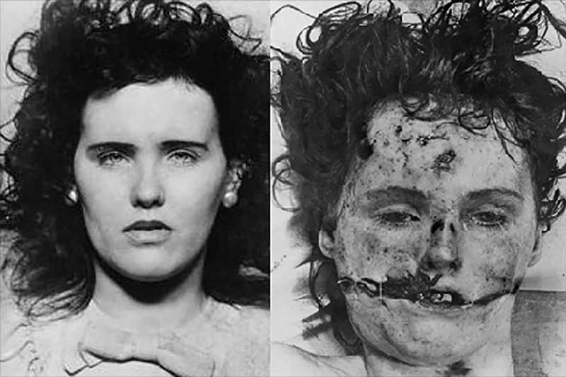 the black dahlia