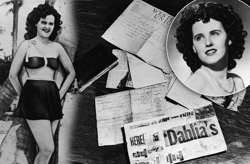 the black dahlia