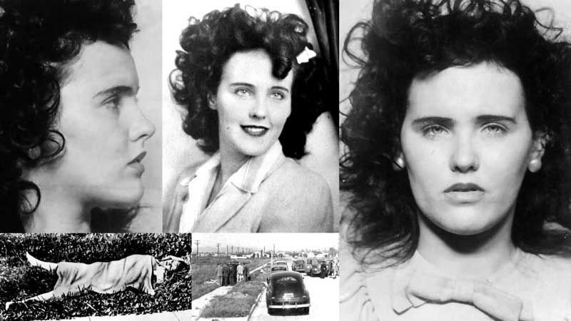 the black dahlia