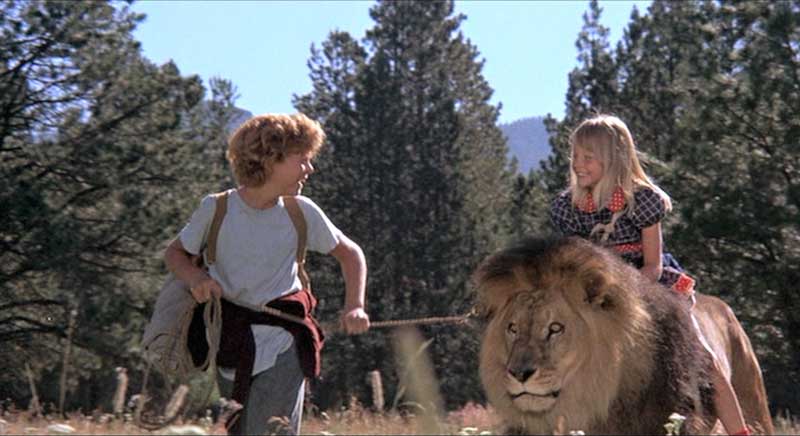 jodie foster the lion and the lovers