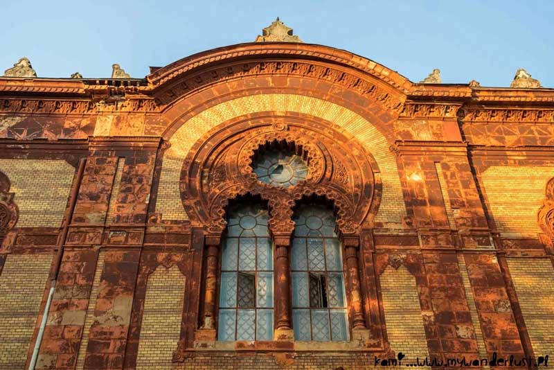 uzhgorod synagogue ukraine