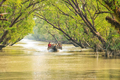 Sundarbans National Park West Bengal India