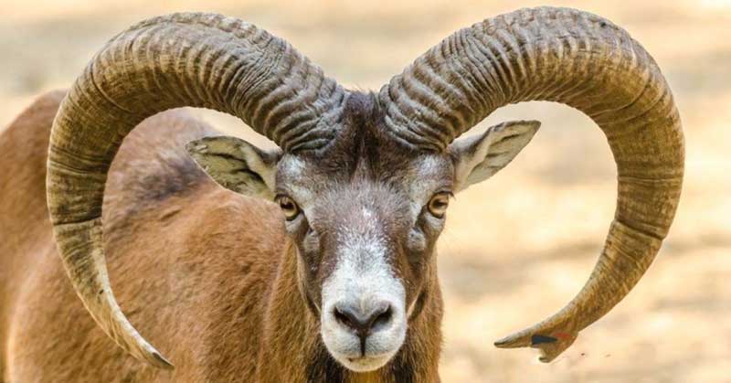 arches national park utah usa