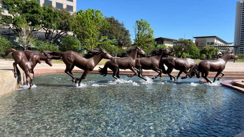 the mustangs of las colinas by robert glen