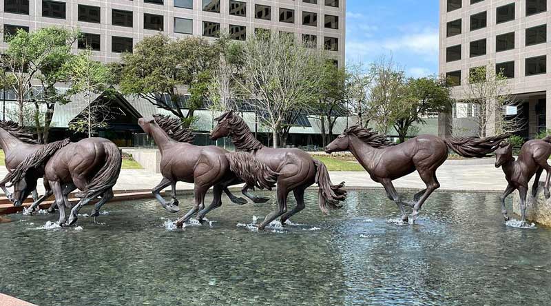 the mustangs of las colinas by robert glen