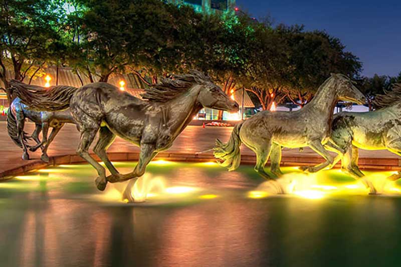 the mustangs of las colinas by robert glen