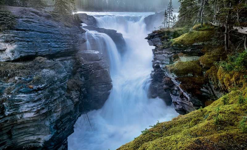 jasper national park alberta canada