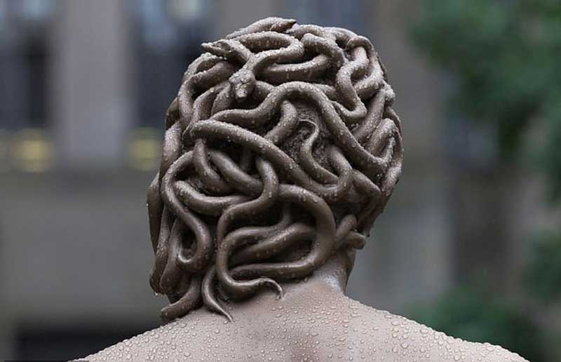 medusa with the head