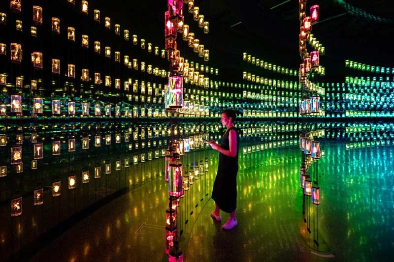museum of the future dubai uae
