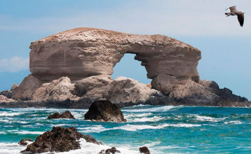 la portada chile
